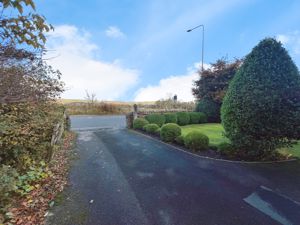 Driveway- click for photo gallery